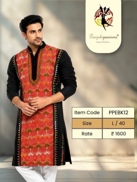 Black Panjabi with Contrast Embroidered Panel (L)