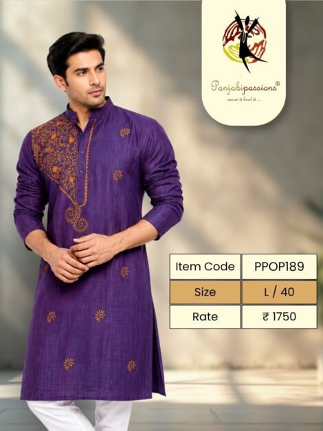 Purple Panjabi with Gold Embroidery (L)
