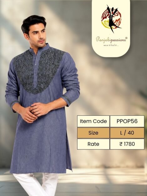 Blue Grey Panjabi with Embroidered Yoke (L)